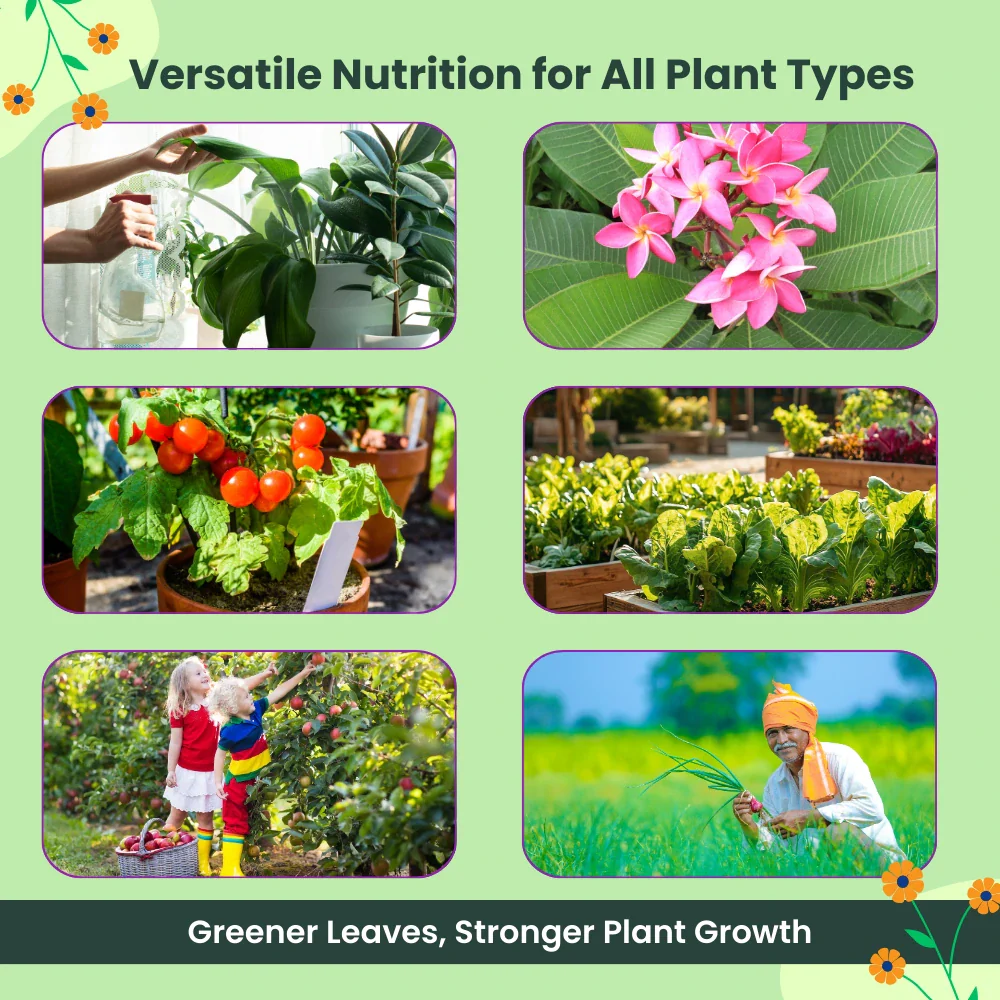 Potassium Schoenite, NPK 00 00 23 Fertilizers for Plants Growth & Home Garden | 100% Water Soluble Powder, Supplement for Fruits & Crops Yields - Image 7