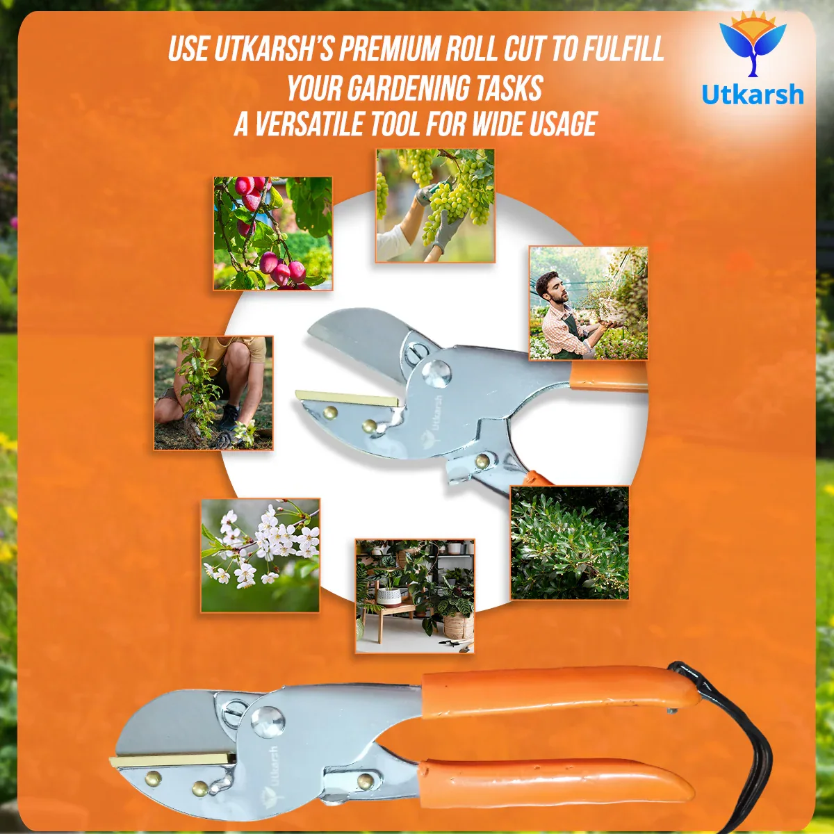 Premium Roll Cut Secateurs- 1 Pc - Image 4