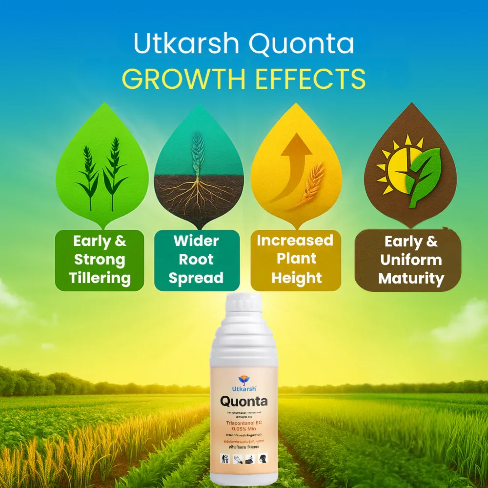 Quonta (Triacontanol 0.05% EC) | Plant Growth Regulator - Image 3