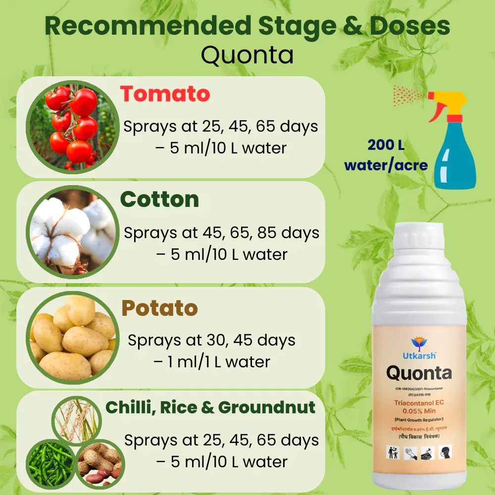 Quonta (Triacontanol 0.05% EC) | Plant Growth Regulator - Image 5