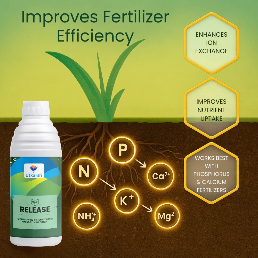 Release (for Enhancing the Ion Exchange Capacity Of Fertilizers) Biostimulant - Image 4