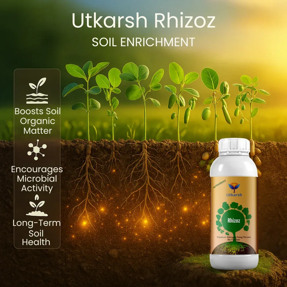 Rhizobium Nitrogen Fixing Bacteria, Liquid Bio Fertilizer for Plants Growth, Increases Organic Matter in Soil | Rhizoz - Image 4