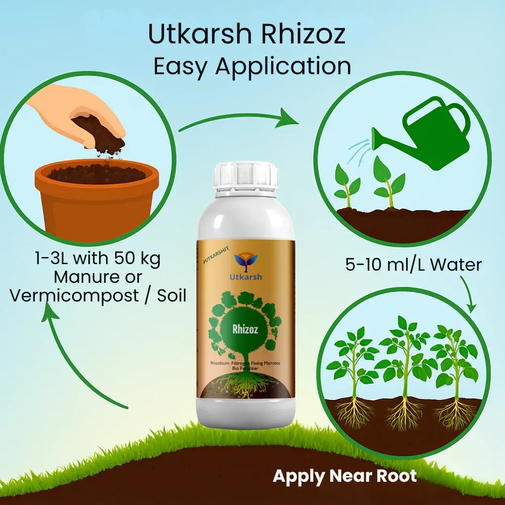 Rhizobium Nitrogen Fixing Bacteria, Liquid Bio Fertilizer for Plants Growth, Increases Organic Matter in Soil | Rhizoz - Image 5
