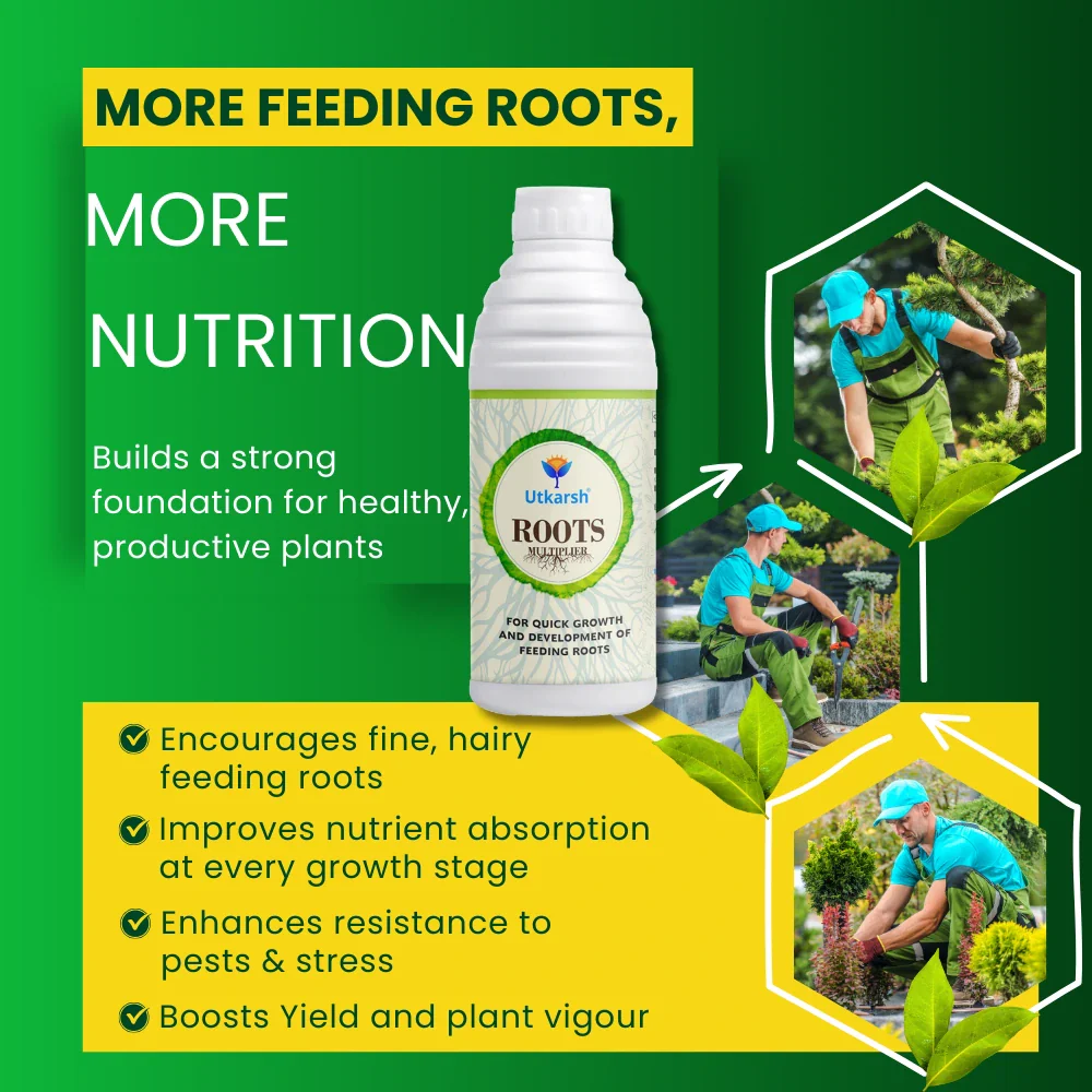 Roots Multiplier (For Quick Hairy Roots Formation) Plant Food for Healthy Roots - 20 Litre - Image 3