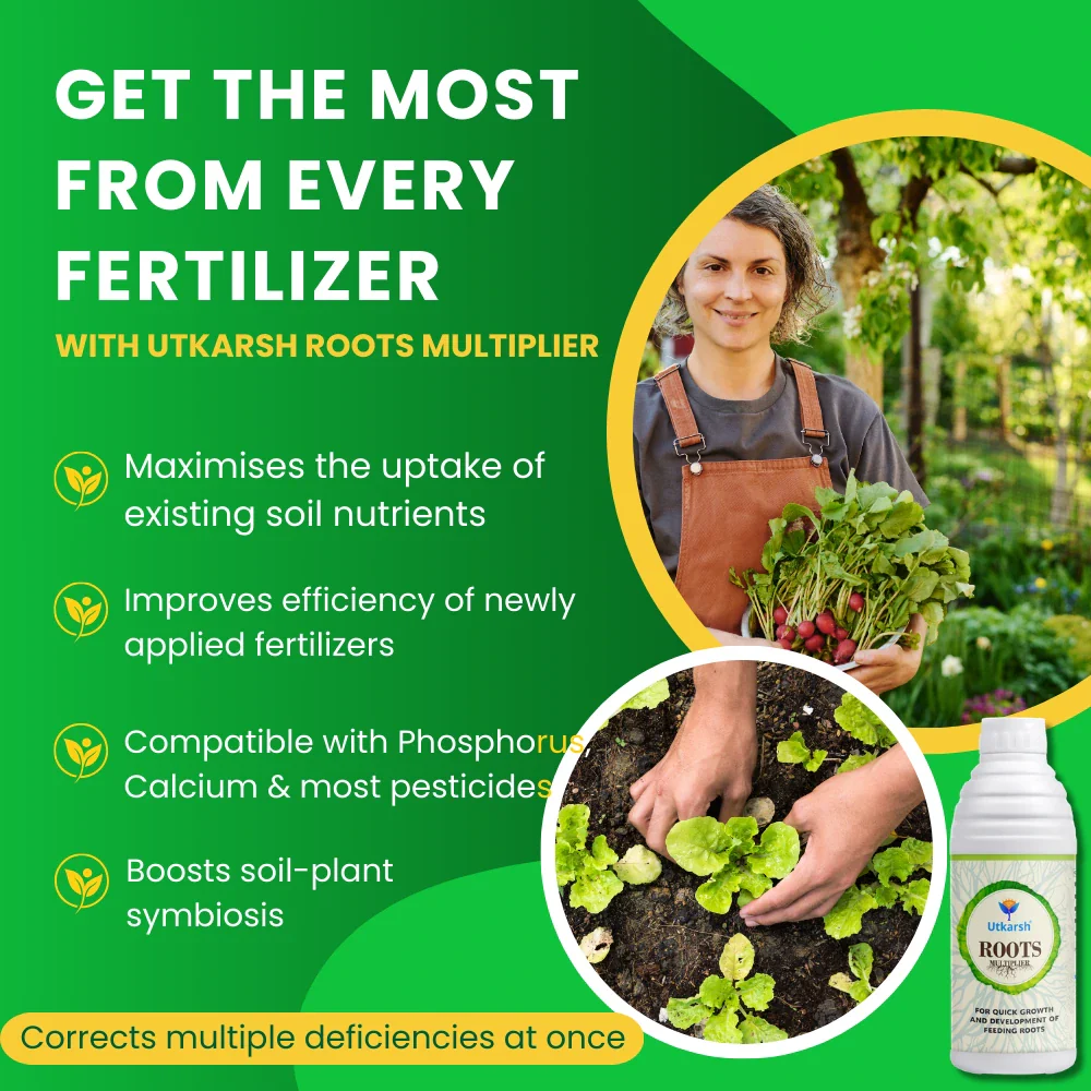 Roots Multiplier (For Quick Hairy Roots Formation) Plant Food for Healthy Roots - 20 Litre - Image 4