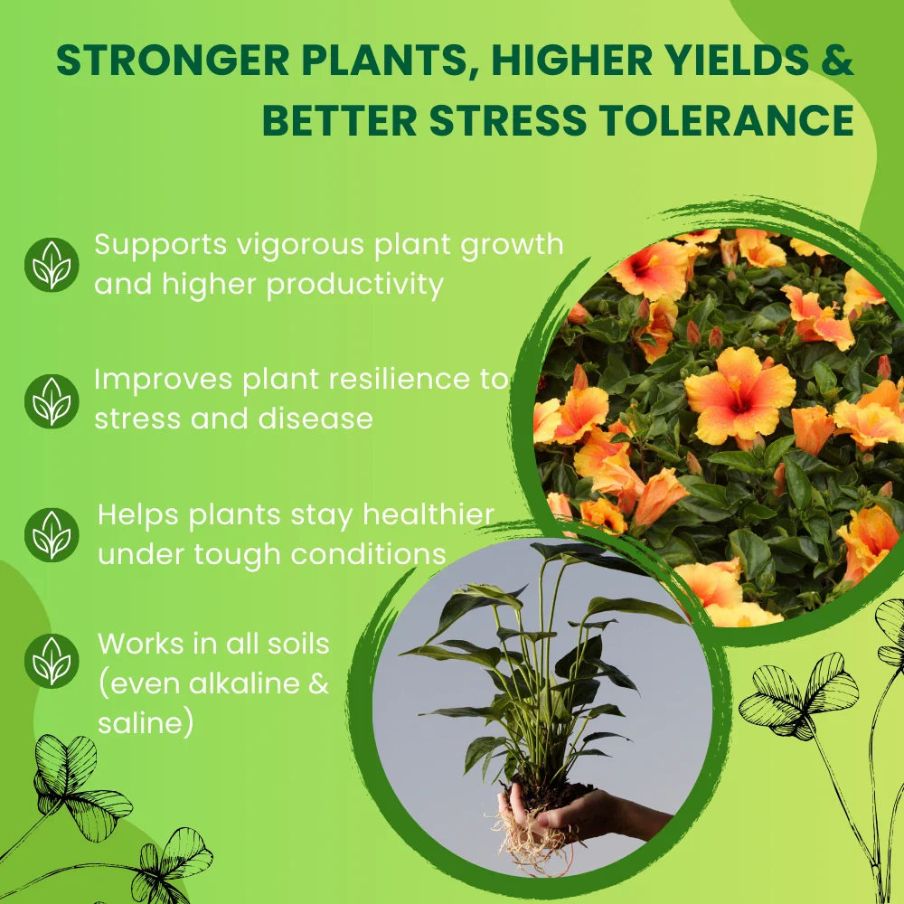 Roots Multiplier (For Quick Hairy Roots Formation) Plant Food for Healthy Roots - 20 Litre - Image 5