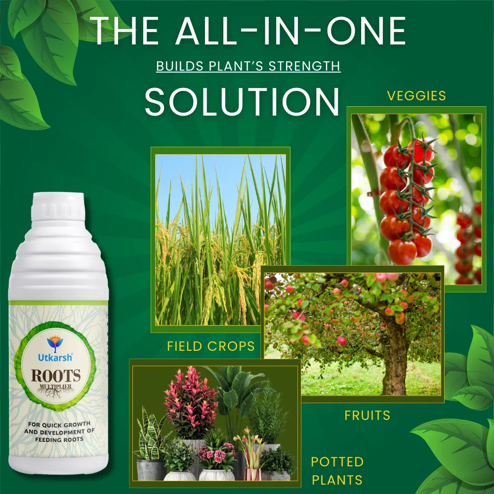 Roots Multiplier (For Quick Hairy Roots Formation) Plant Food for Healthy Roots - 20 Litre - Image 6