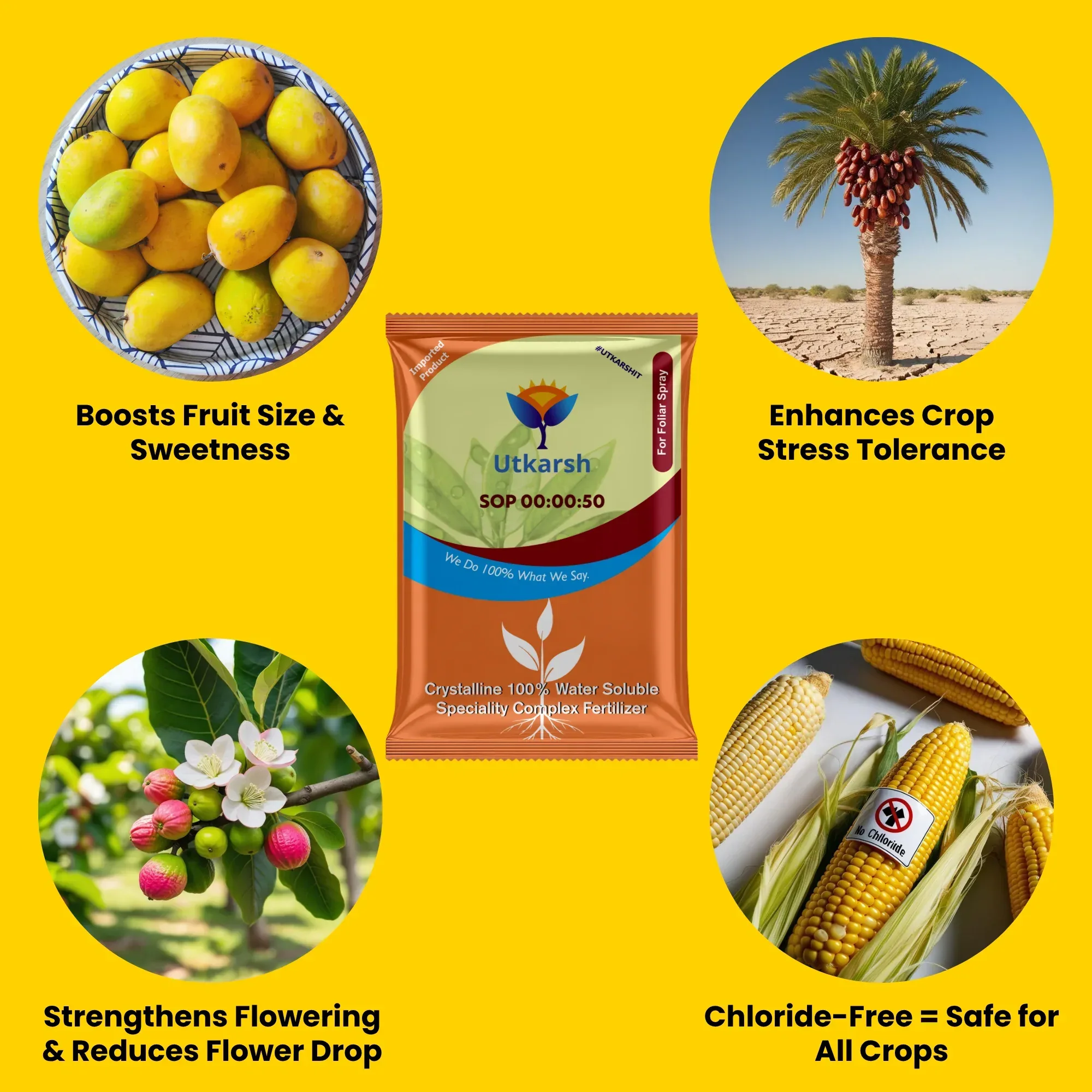 SOP 00 00 50 - Potassium Sulphate for Plants Growth, 100% Water Soluble Powder, Foliar Spray Nutrition | NPK Fertilizers for Home Garden & Crops - Image 3