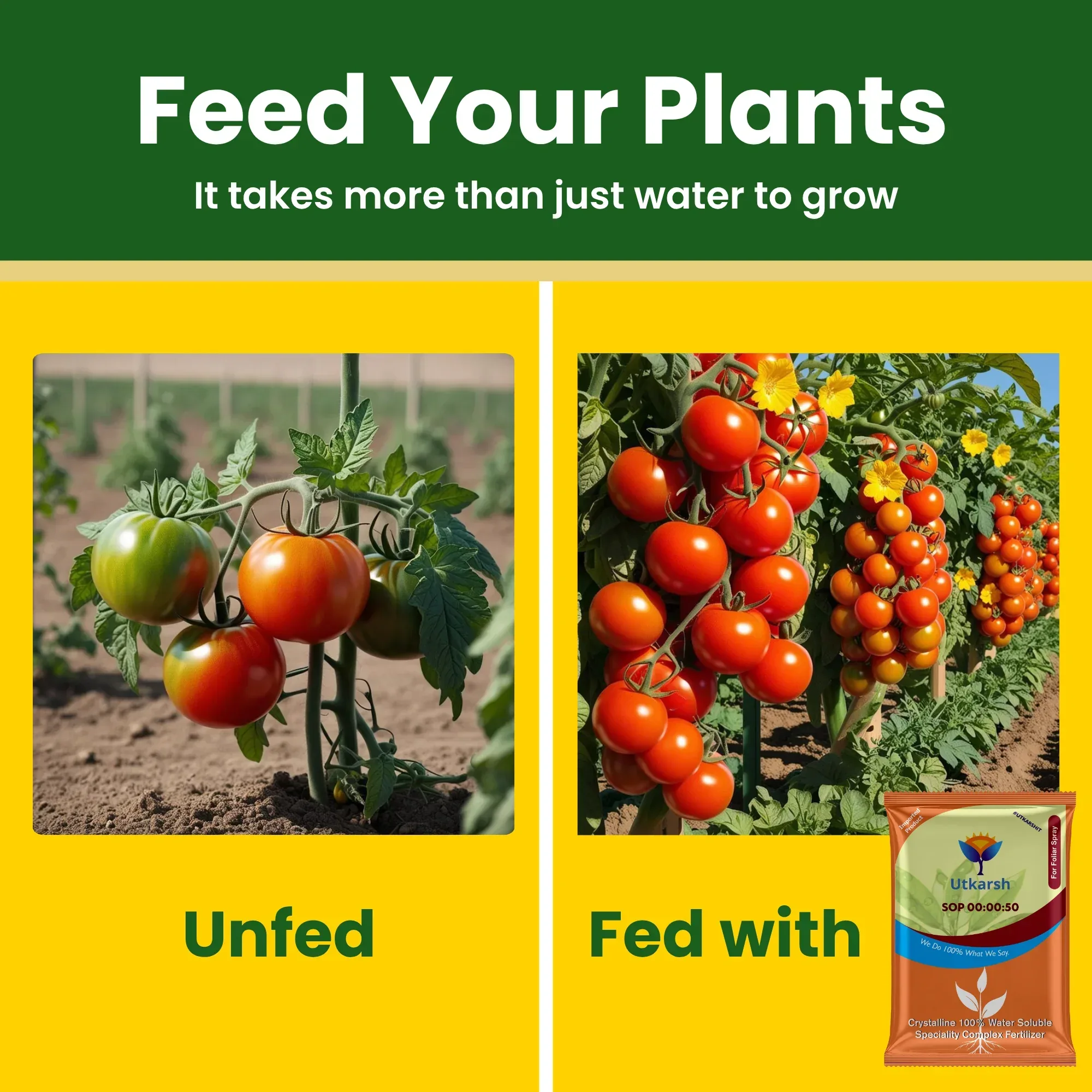 SOP 00 00 50 - Potassium Sulphate for Plants Growth, 100% Water Soluble Powder, Foliar Spray Nutrition | NPK Fertilizers for Home Garden & Crops - Image 4