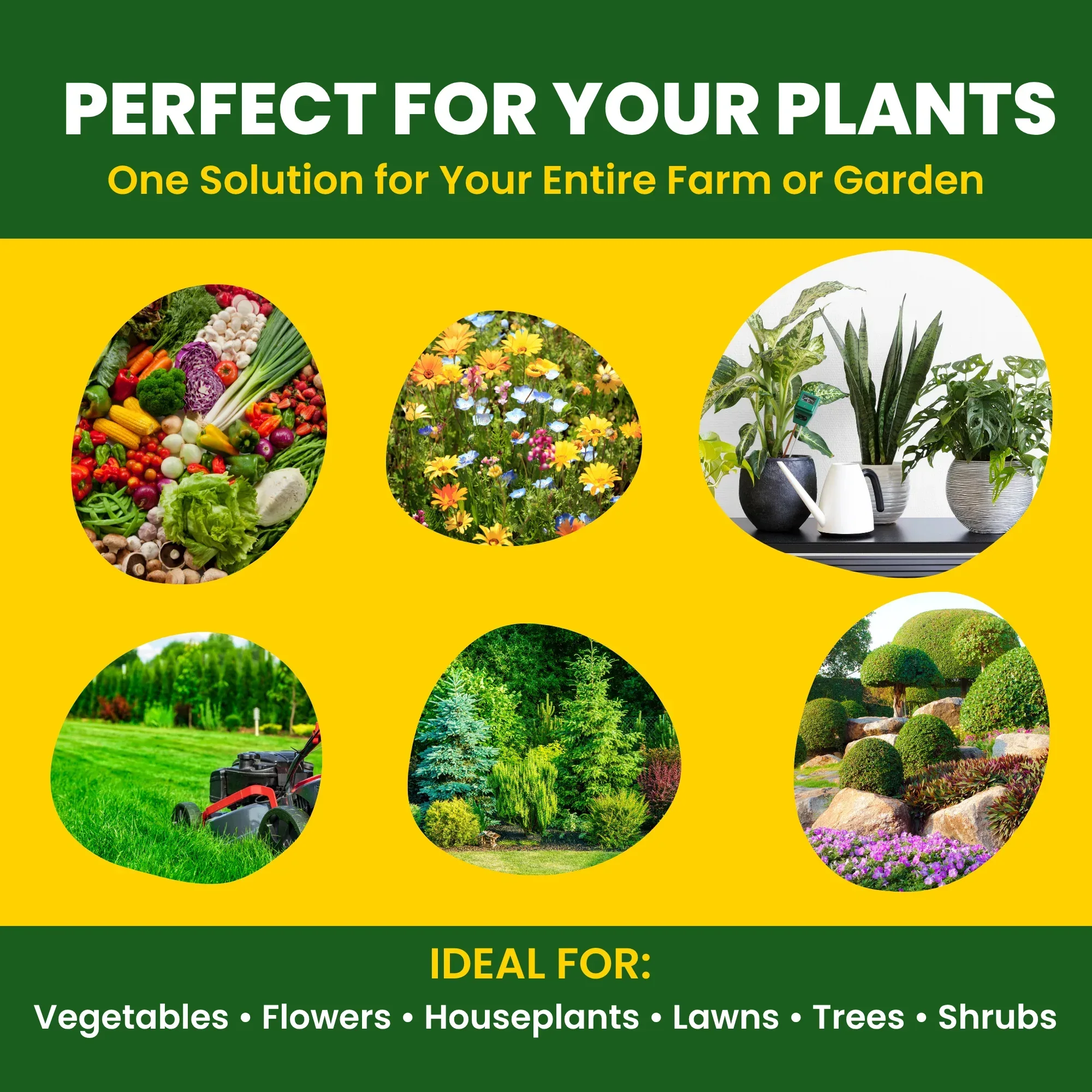 SOP 00 00 50 - Potassium Sulphate for Plants Growth, 100% Water Soluble Powder, Foliar Spray Nutrition | NPK Fertilizers for Home Garden & Crops - Image 5