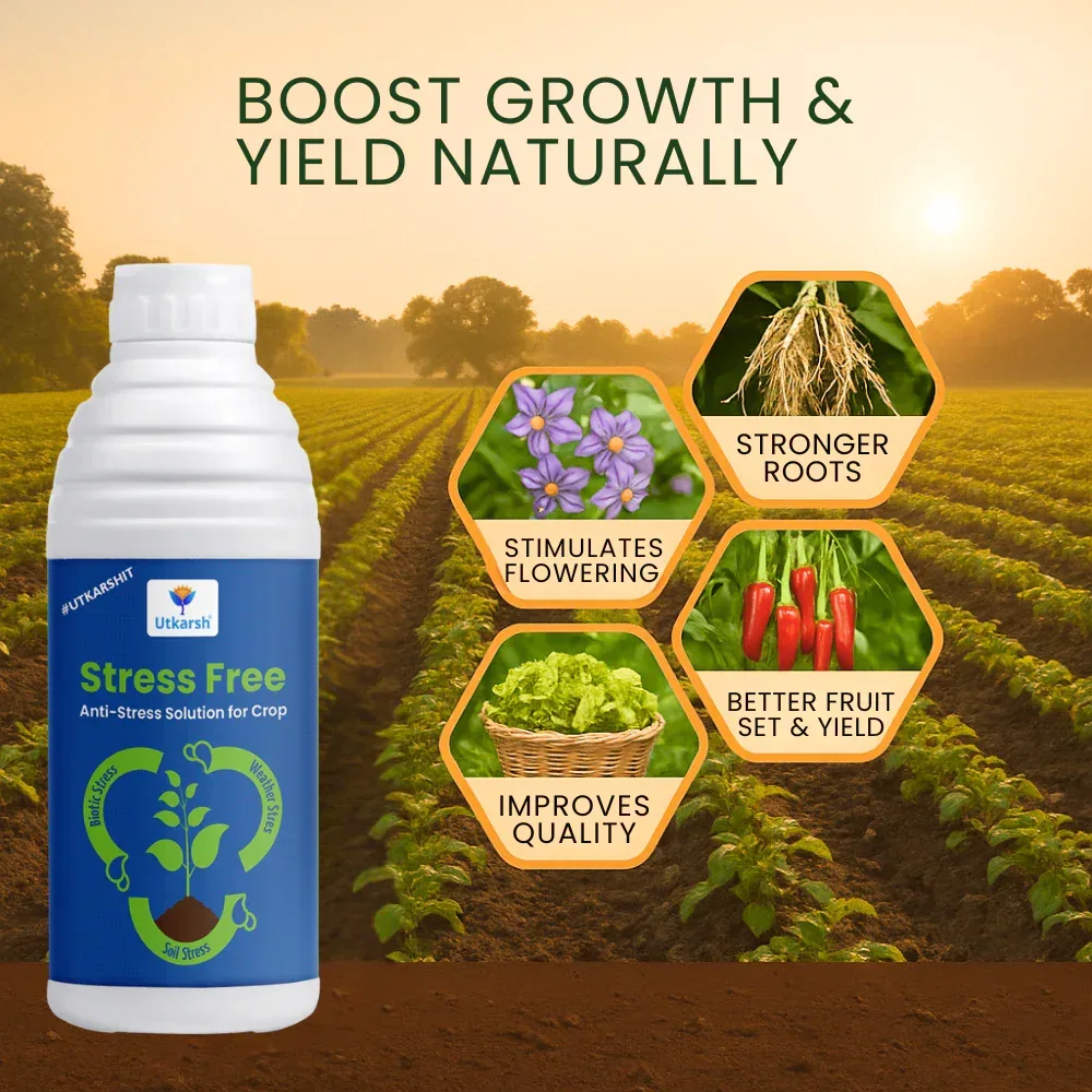 Stress Free - Humic acid, Fulvic acid & Amino Acid Seaweed Extract based Biostimulant, Stimulates Flowering & Fruit Setting, Promotes Vigorous Root & Shoot Growth - Image 3