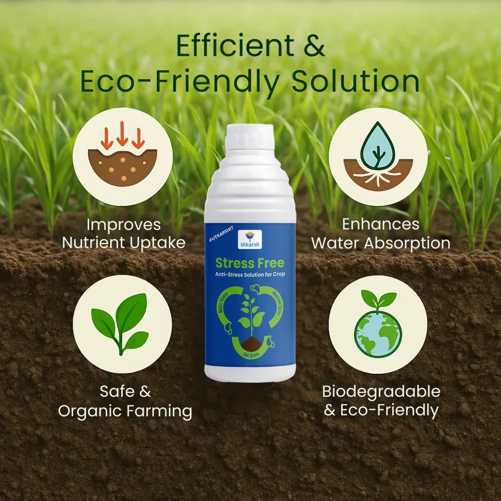 Stress Free - Humic acid, Fulvic acid & Amino Acid Seaweed Extract based Biostimulant, Stimulates Flowering & Fruit Setting, Promotes Vigorous Root & Shoot Growth - Image 4