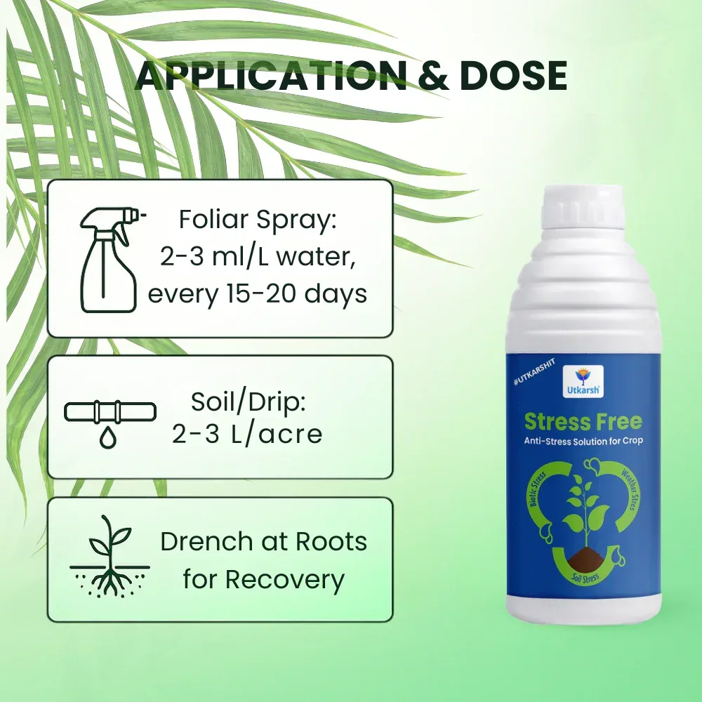 Stress Free - Humic acid, Fulvic acid & Amino Acid Seaweed Extract based Biostimulant, Stimulates Flowering & Fruit Setting, Promotes Vigorous Root & Shoot Growth - Image 5