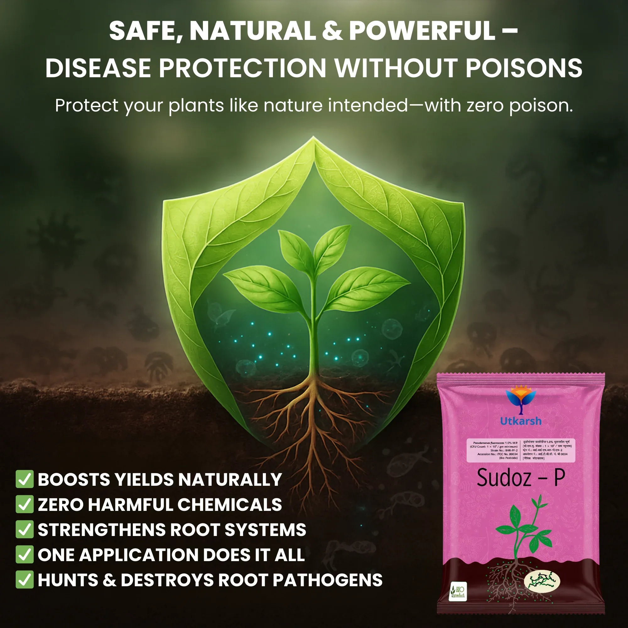 Pseudomonas Fluorescens 1.0% W.P. CFU Count: 1 x 10^8 / gm. min. Bio Fungicides for Plants, Crops and Home Gardening - Sudoz-P - Image 4