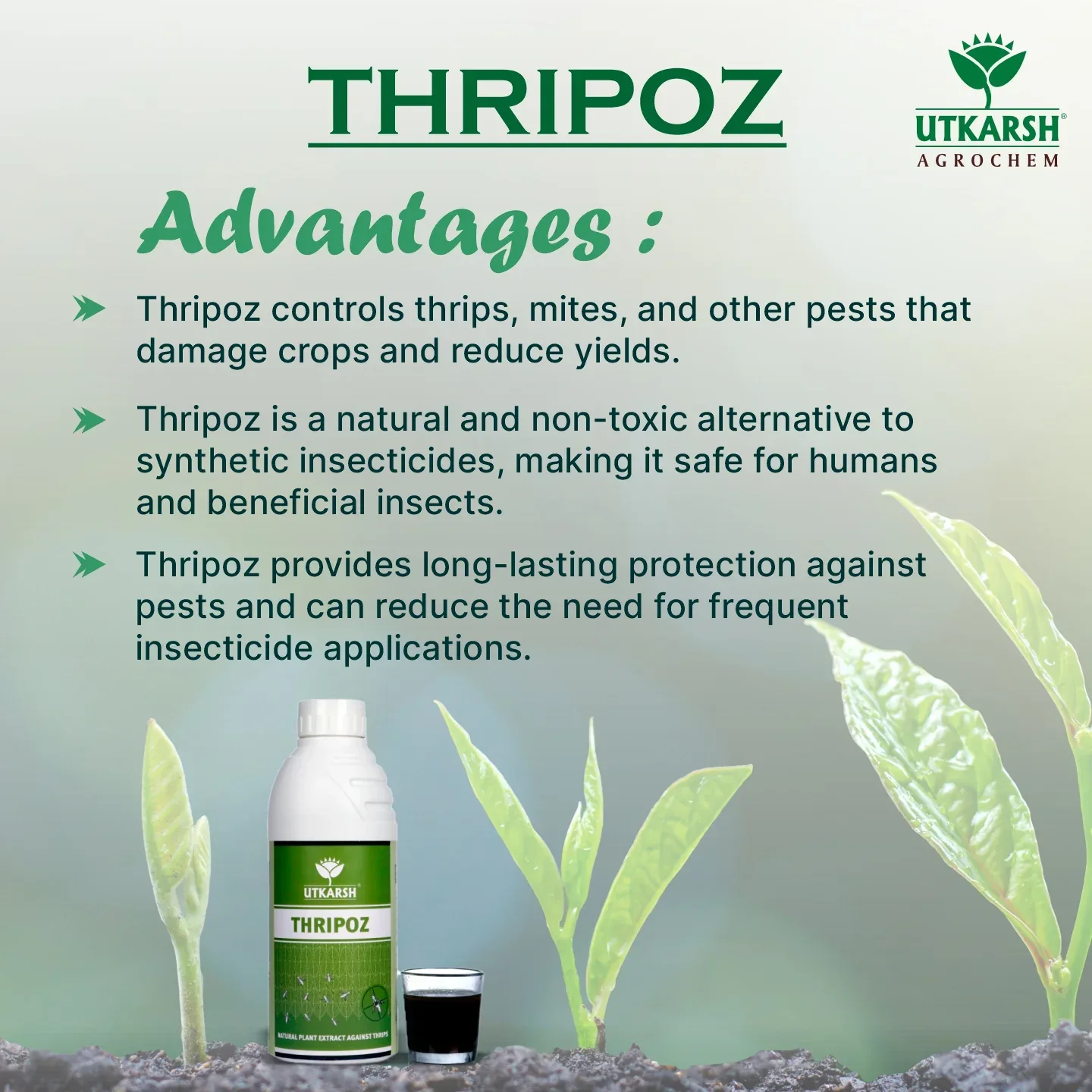 Thripoz | Natural Plants Extract Against Thrips | Natural Plant Protector for Sucking Pests- Aphids and White Fly - Image 3