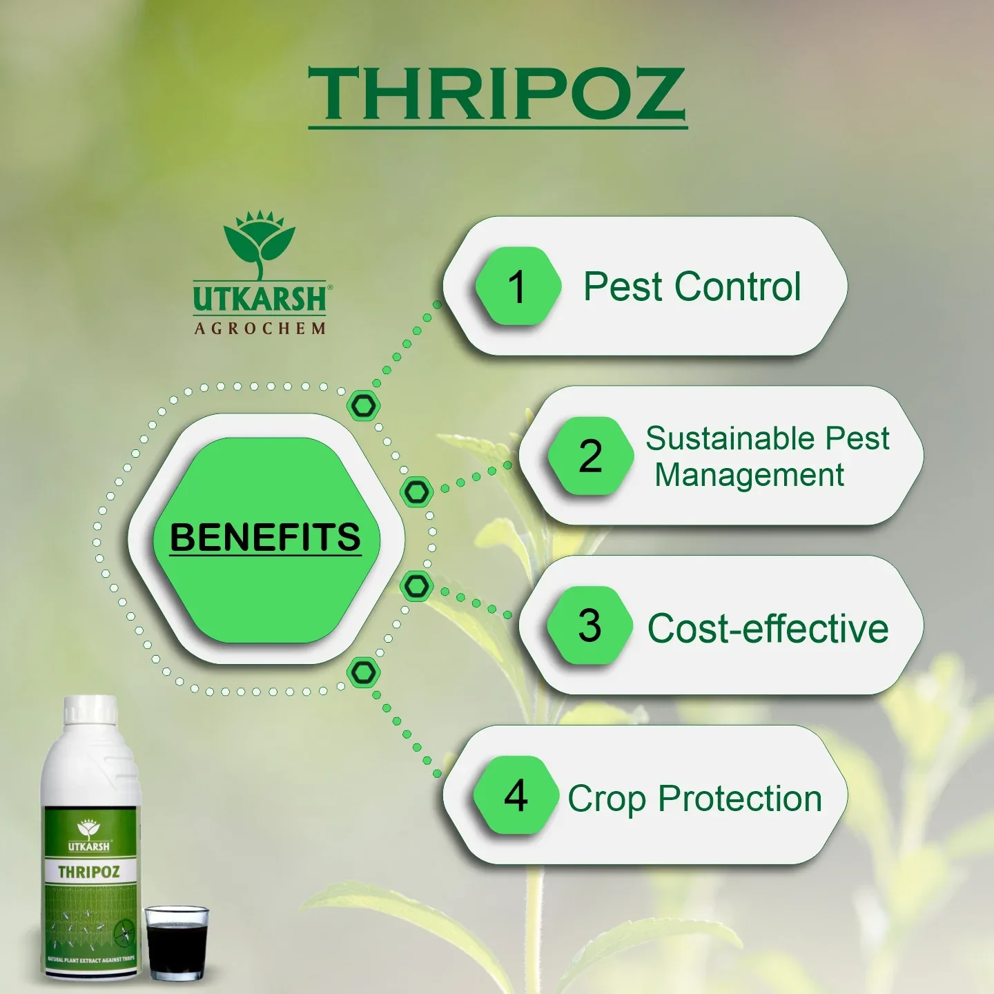 Thripoz | Natural Plants Extract Against Thrips | Natural Plant Protector for Sucking Pests- Aphids and White Fly - Image 4