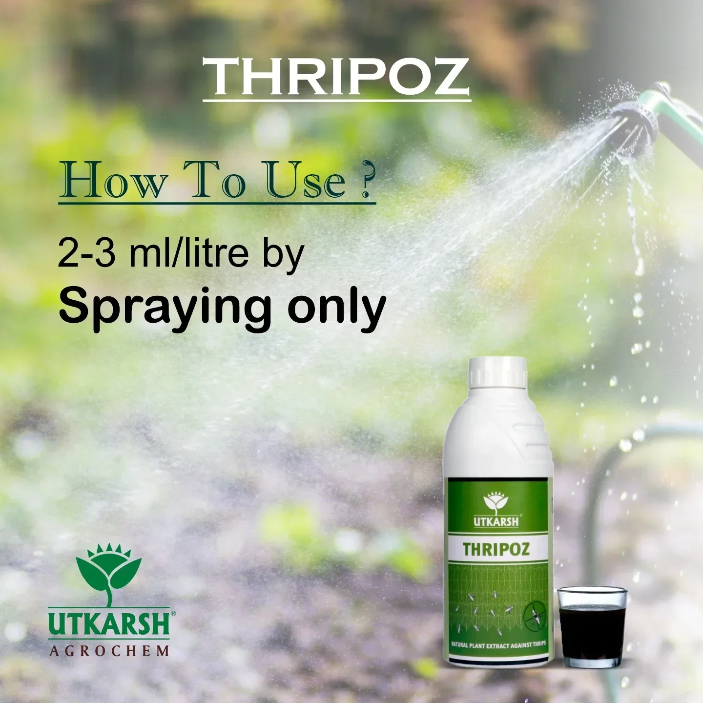 Thripoz | Natural Plants Extract Against Thrips | Natural Plant Protector for Sucking Pests- Aphids and White Fly - Image 6