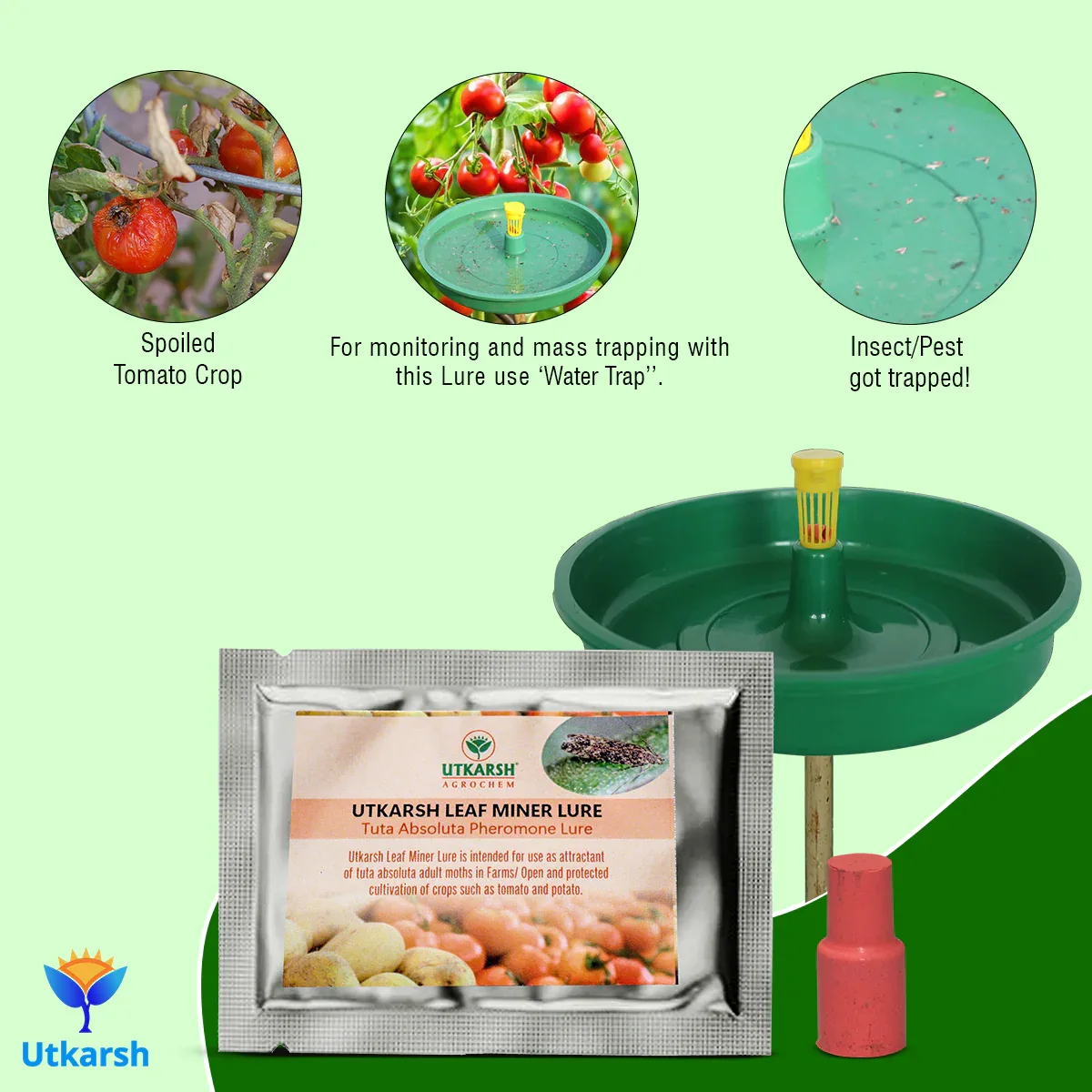 Tomato Leaf Miner Lure with Water Trap - Image 3
