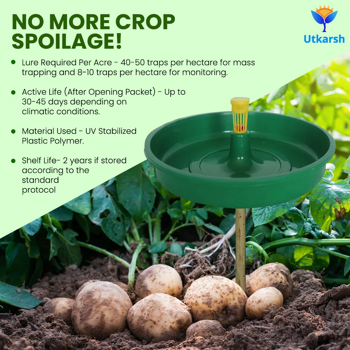 Tomato Leaf Miner Lure with Water Trap - Image 5