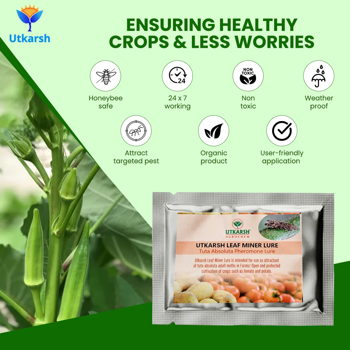 Tomato Leaf Miner Lure with Water Trap - Image 6