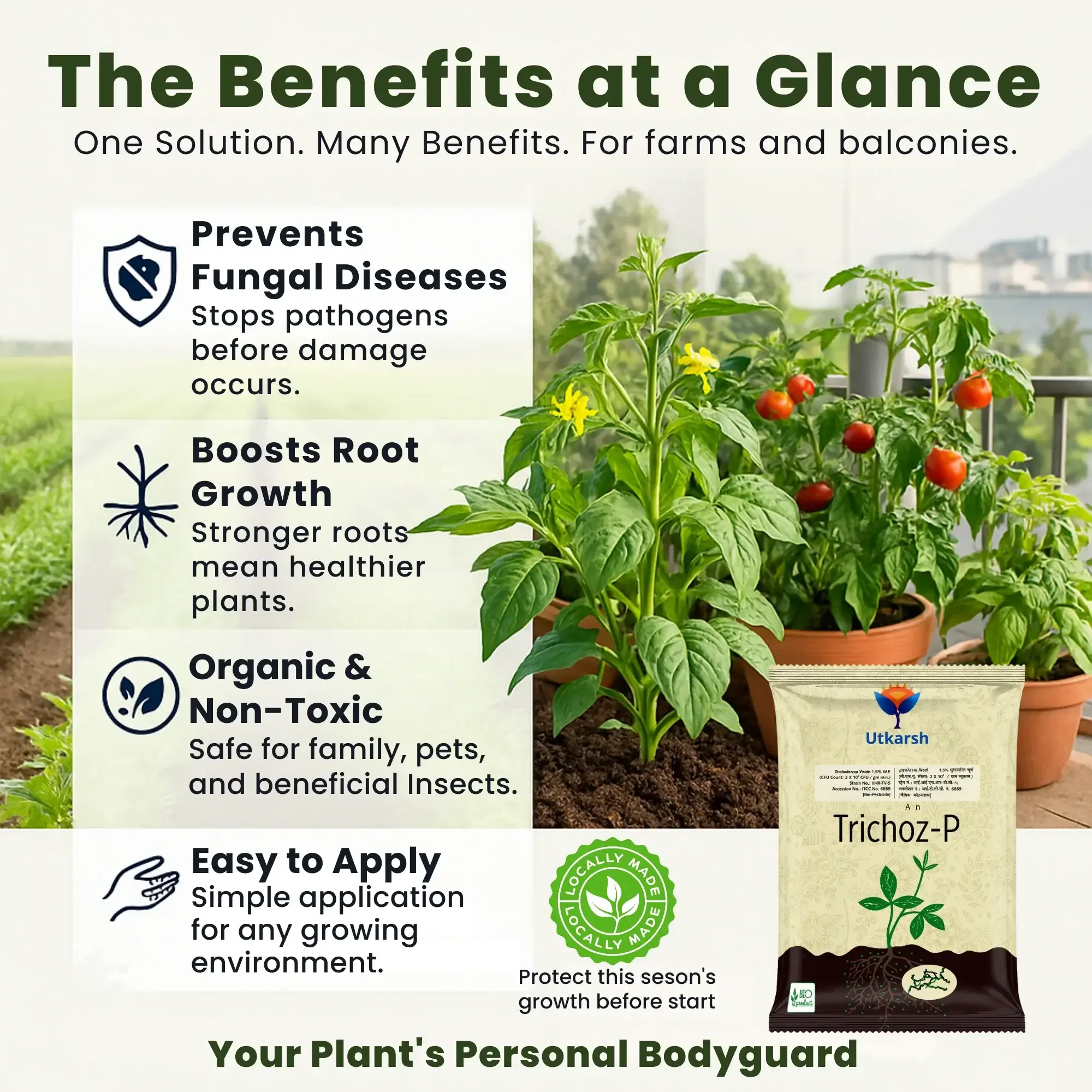 Trichoderma Viride 1.5% W.P.: 2 x 10^6 CFU/gm min. Bio Fungicide for Plants, Crops and Home Gardening - Trichoz-P - Image 3