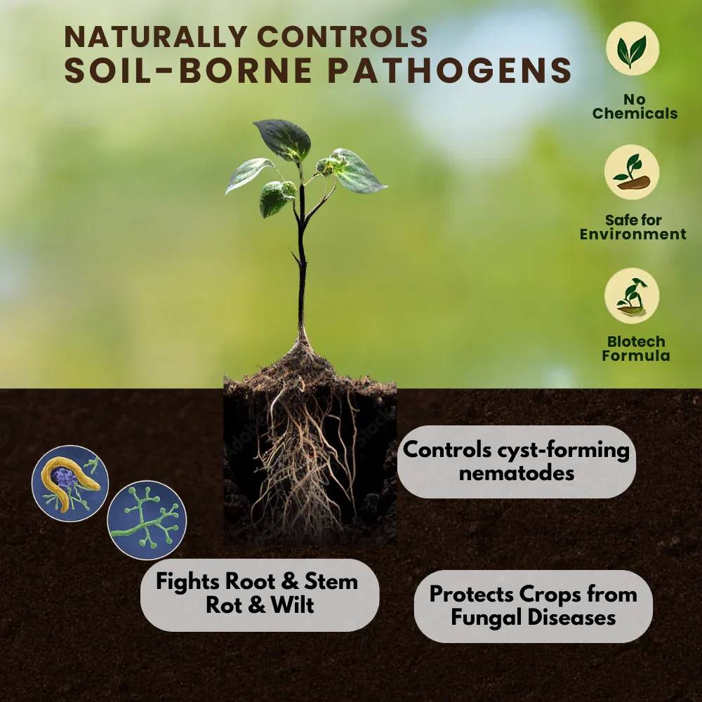 Trichoderma Harzianum 1% WP 2 x 10^6 CFU/gm min. Bio Fungicides for Plants, Crops and Home Gardening - Trichoherz-P - Image 3
