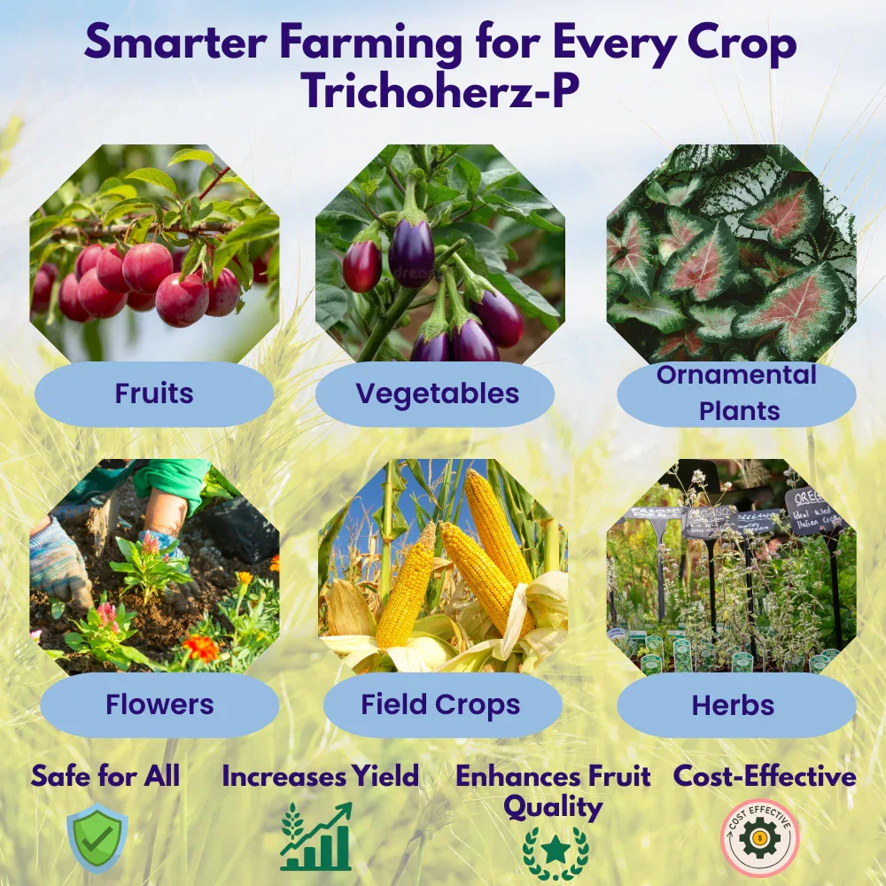 Trichoderma Harzianum 1% WP 2 x 10^6 CFU/gm min. Bio Fungicides for Plants, Crops and Home Gardening - Trichoherz-P - Image 4