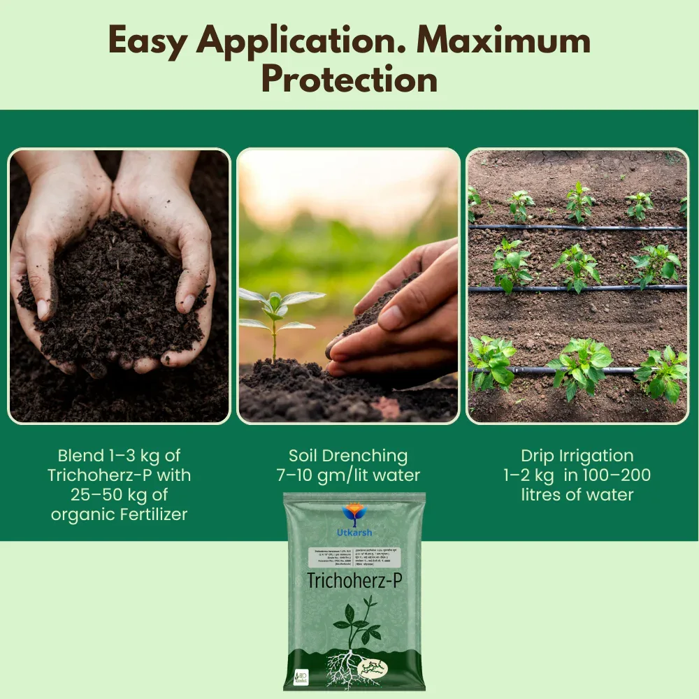 Trichoderma Harzianum 1% WP 2 x 10^6 CFU/gm min. Bio Fungicides for Plants, Crops and Home Gardening - Trichoherz-P - Image 5