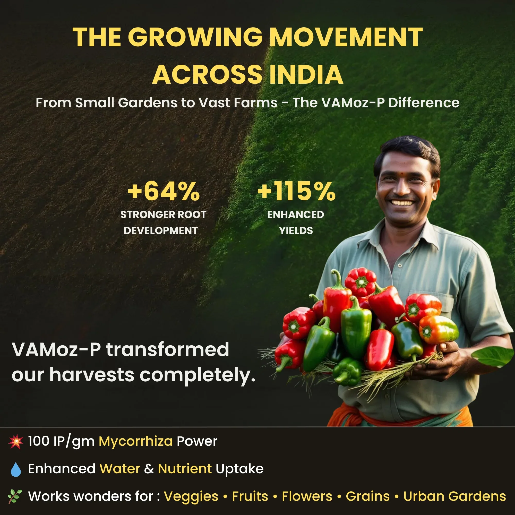 Mycorrhiza with 100 IP/gm, Bio Fertilizers for Healthy Plants, Vigorous Stem Girth, Enhances Nutrient Absorption, Water Uptake & Soil Aeration | VAMoz-P - Image 5