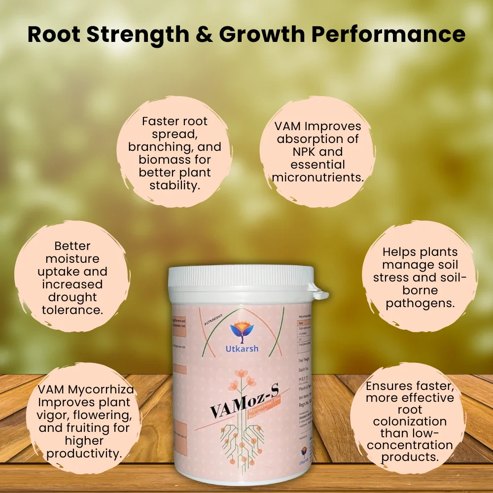 Mycorrhiza Powder with 5000 IP/gm, Bio Fertilizers for Plants, Root Growth, Plant Health Promoter, Home Garden | Vamoz - S - Image 3