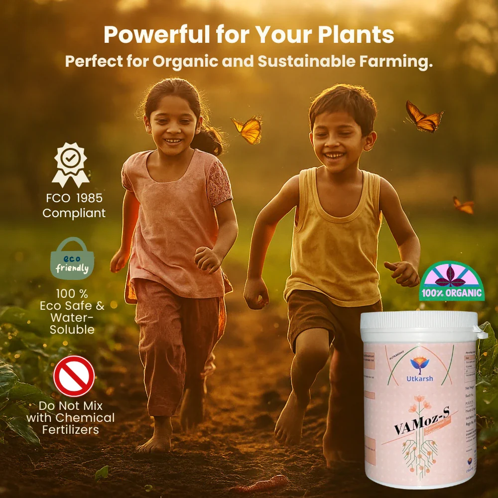 Mycorrhiza Powder with 5000 IP/gm, Bio Fertilizers for Plants, Root Growth, Plant Health Promoter, Home Garden | Vamoz - S - Image 5