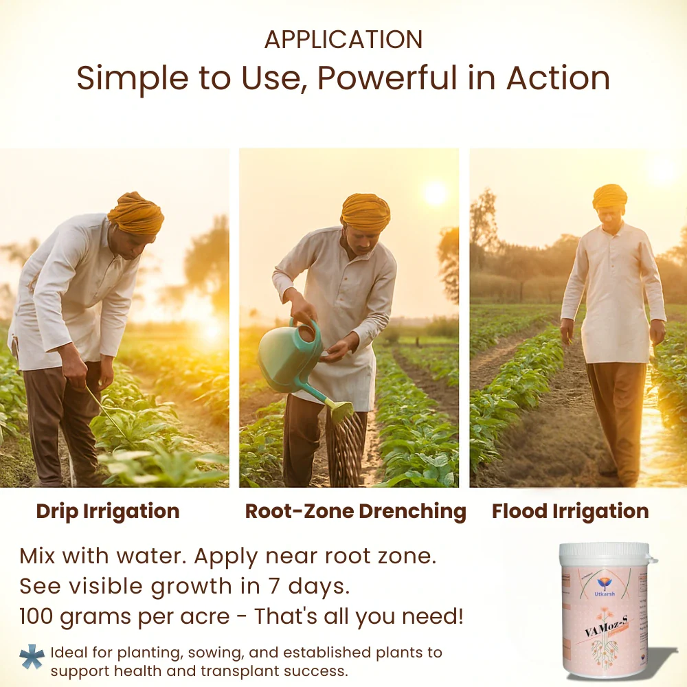 Mycorrhiza Powder with 5000 IP/gm, Bio Fertilizers for Plants, Root Growth, Plant Health Promoter, Home Garden | Vamoz - S - Image 6