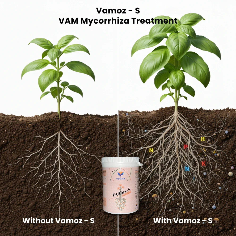 Mycorrhiza Powder with 5000 IP/gm, Bio Fertilizers for Plants, Root Growth, Plant Health Promoter, Home Garden | Vamoz - S - Image 7