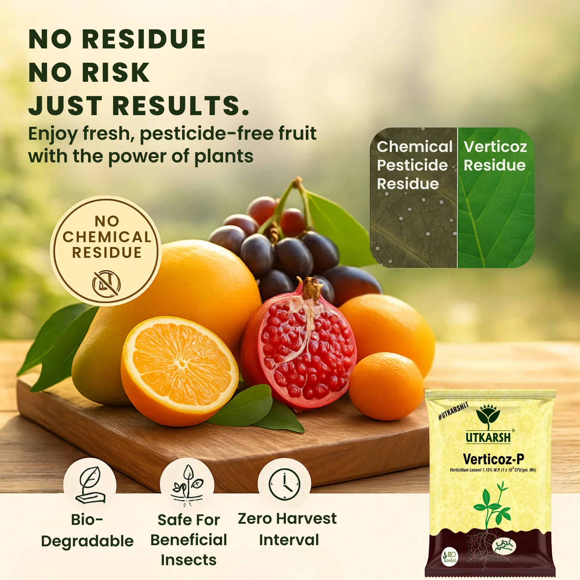 Verticillium Lecanii 1.15% W.P. 1 x 10 ^ 8 CFU/gm min. Bio Insecticides for Plants, Crops and Home Gardening - Verticoz-P - Image 4