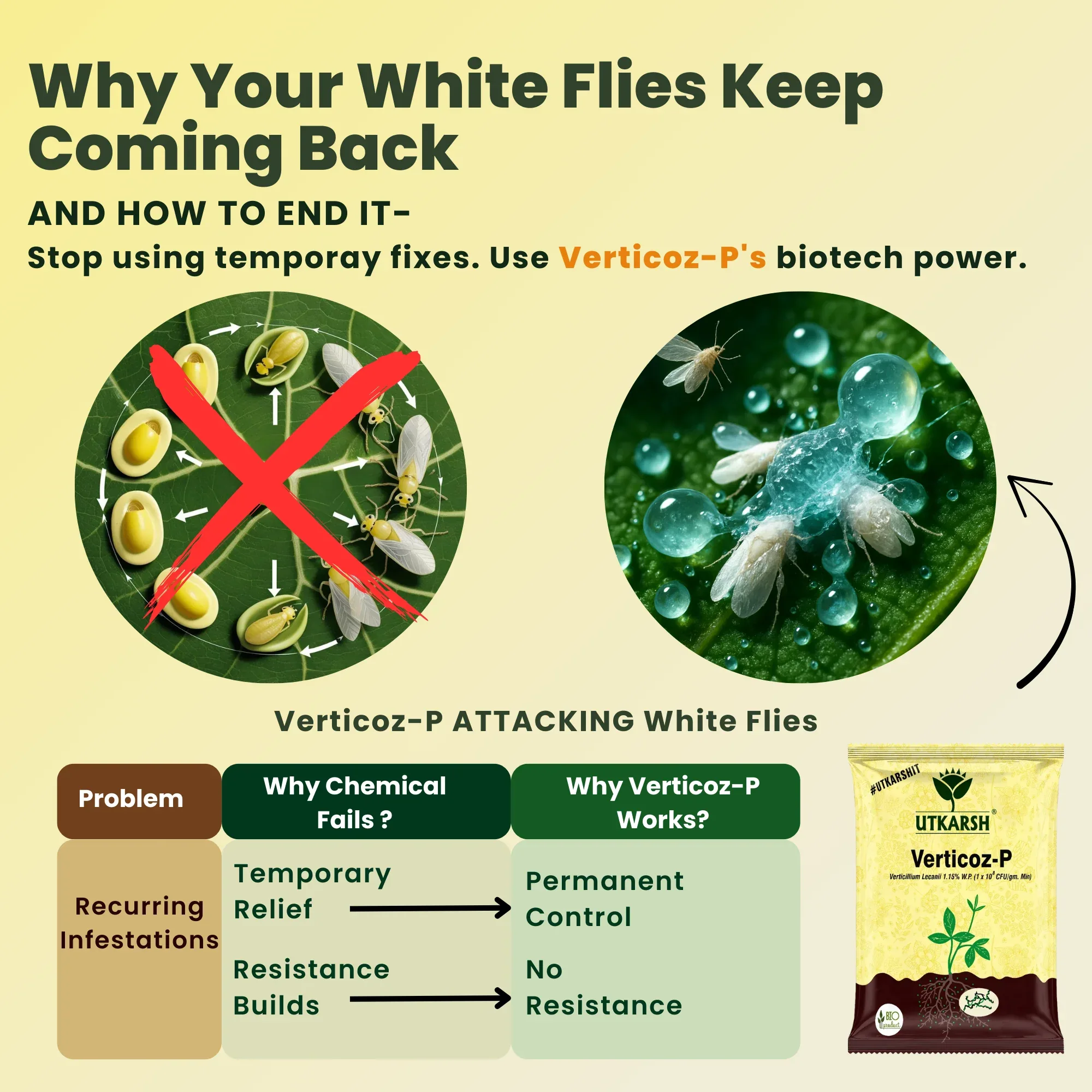 Verticillium Lecanii 1.15% W.P. 1 x 10 ^ 8 CFU/gm min. Bio Insecticides for Plants, Crops and Home Gardening - Verticoz-P - Image 5