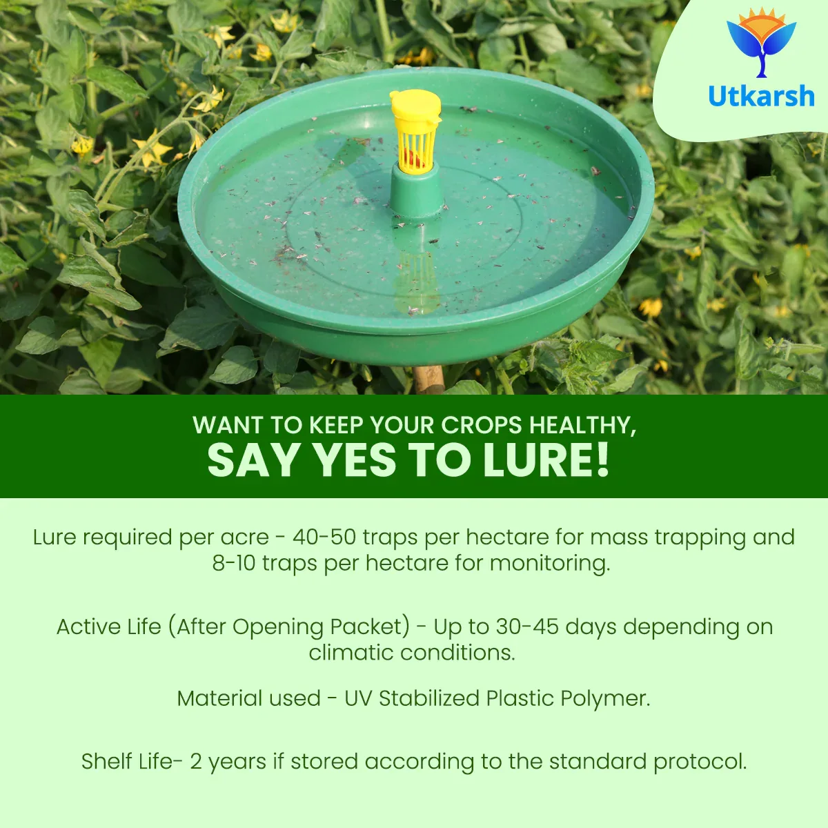 Water Trap - Image 3