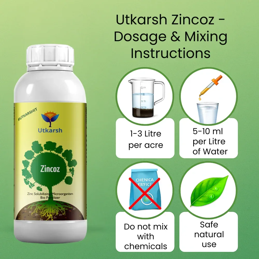 Zinc Solubilizing Microbes, Liquid Bio Fertilizer for Plants Growth, Increases Leaf Size & Promotes Healthy Green Foliage of Plants & Internode Length | Zincoz - Image 4