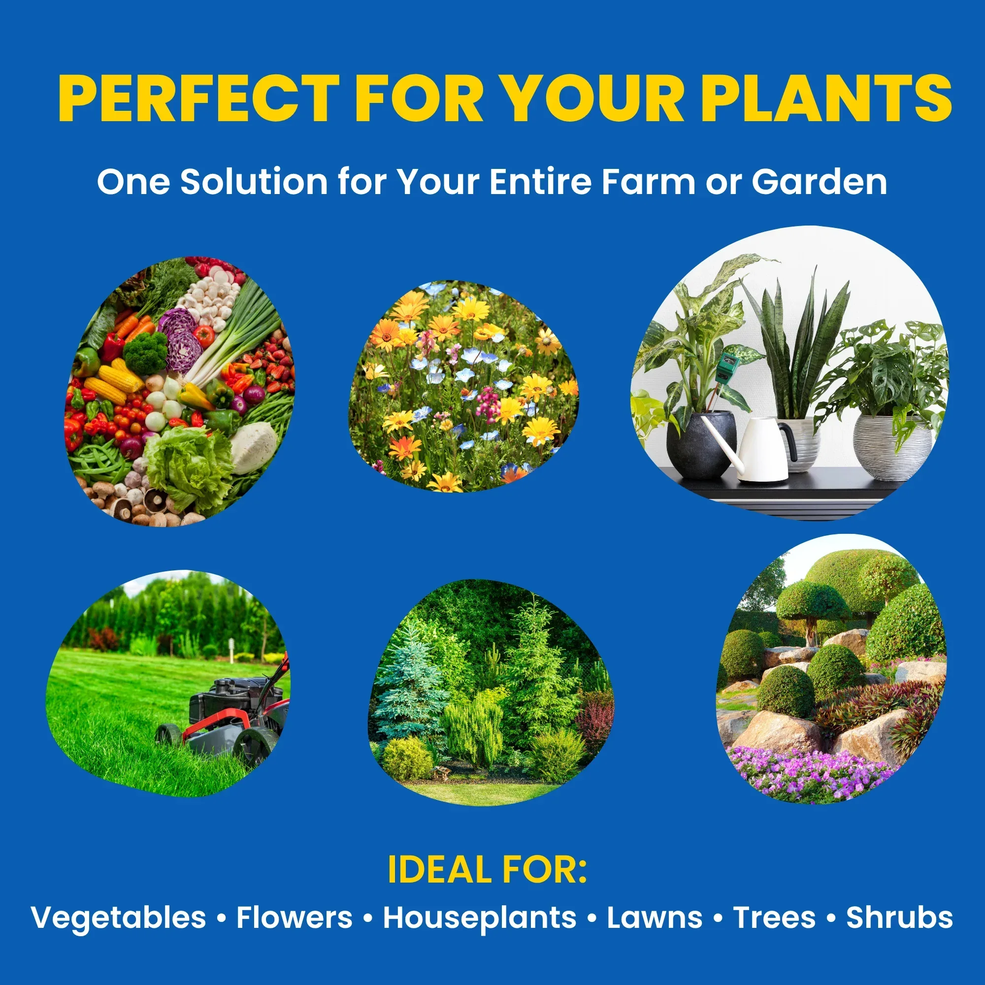 Zinc - 12% EDTA Chelated, 100% Water Soluble Fertilizers for Plants, Micronutrient for Green Foliage, Home Garden, Plant Growth Booster | ZinGap - Image 3