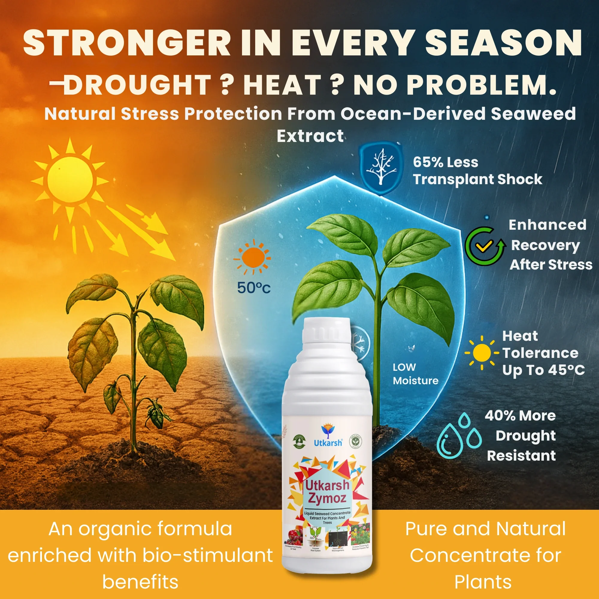 Liquid Seaweed Extract | Organic Plant Growth Promoter for Healthy Plants | Enhances Flowering & Improves Fruit Set | Biostimulant For Home Garden - Zymoz - Image 3