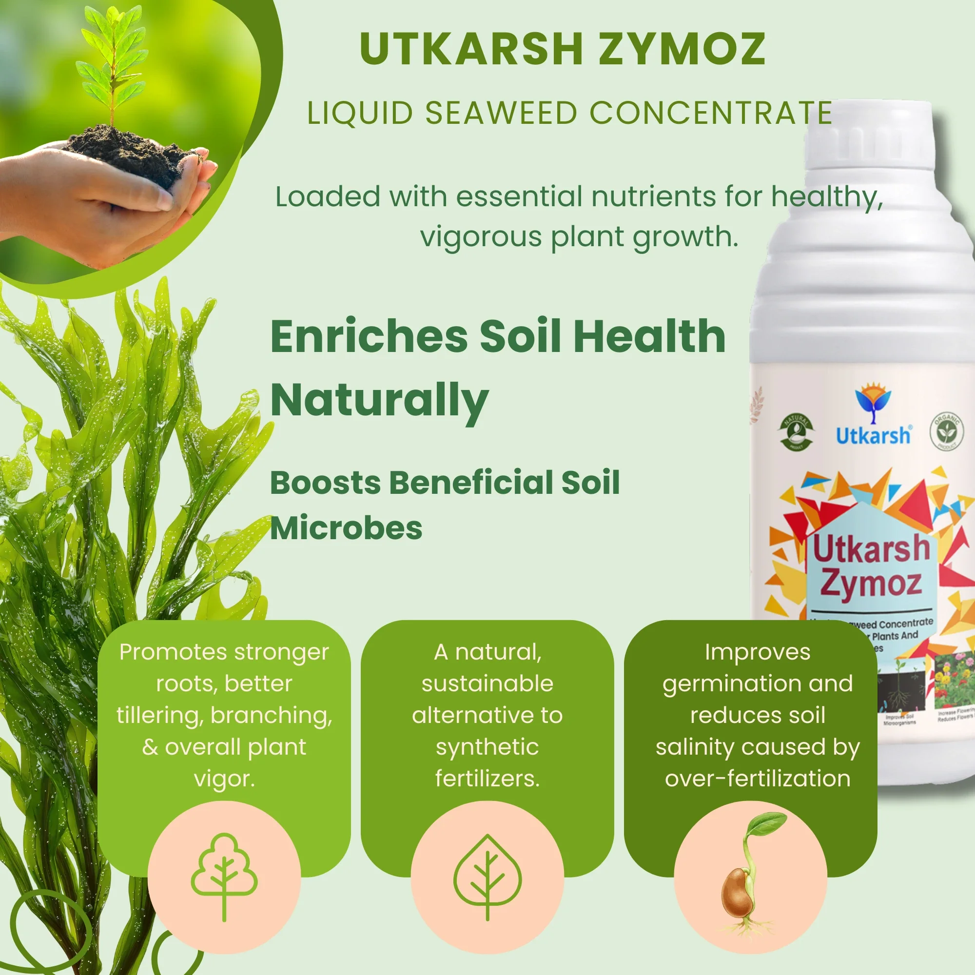Liquid Seaweed Extract | Organic Plant Growth Promoter for Healthy Plants | Enhances Flowering & Improves Fruit Set | Biostimulant For Home Garden - Zymoz - Image 4