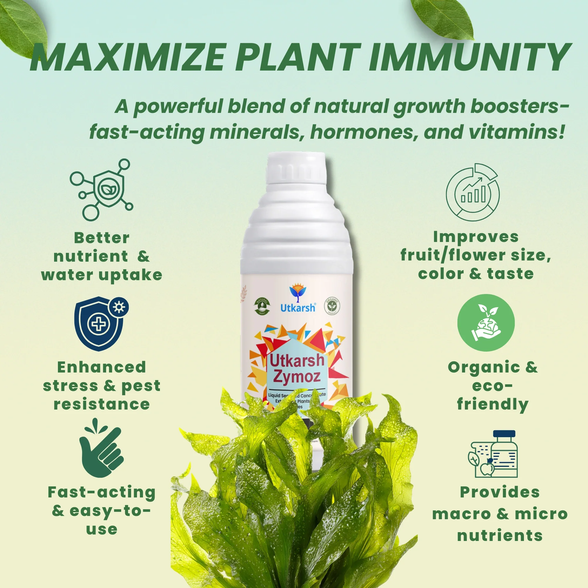 Liquid Seaweed Extract | Organic Plant Growth Promoter for Healthy Plants | Enhances Flowering & Improves Fruit Set | Biostimulant For Home Garden - Zymoz - Image 5