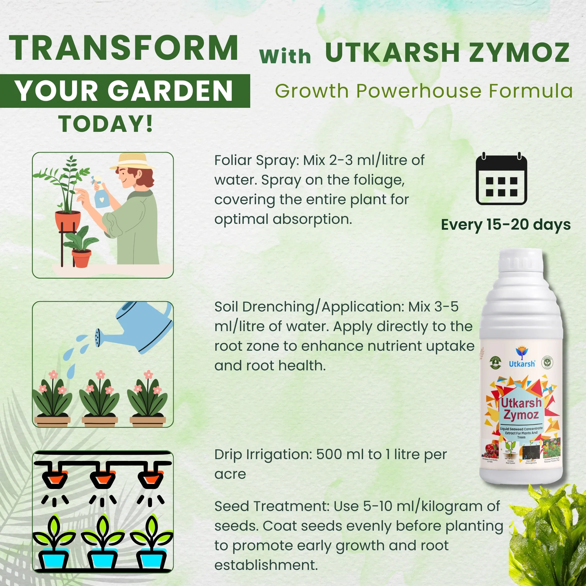 Liquid Seaweed Extract | Organic Plant Growth Promoter for Healthy Plants | Enhances Flowering & Improves Fruit Set | Biostimulant For Home Garden - Zymoz - Image 7