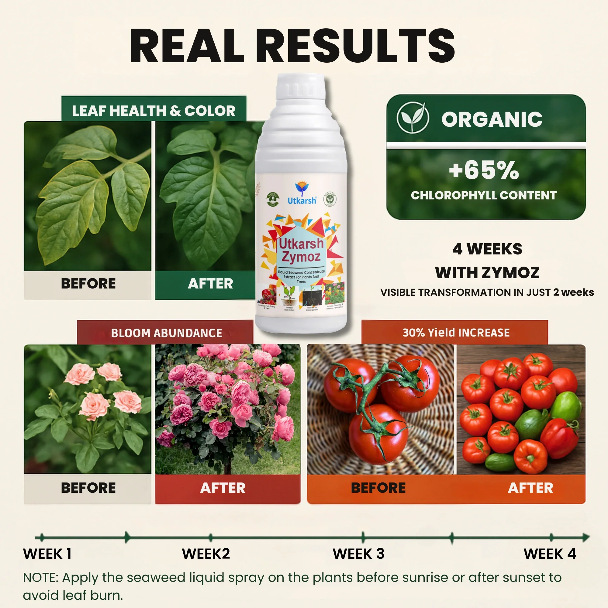 Liquid Seaweed Extract | Organic Plant Growth Promoter for Healthy Plants | Enhances Flowering & Improves Fruit Set | Biostimulant For Home Garden - Zymoz - Image 8