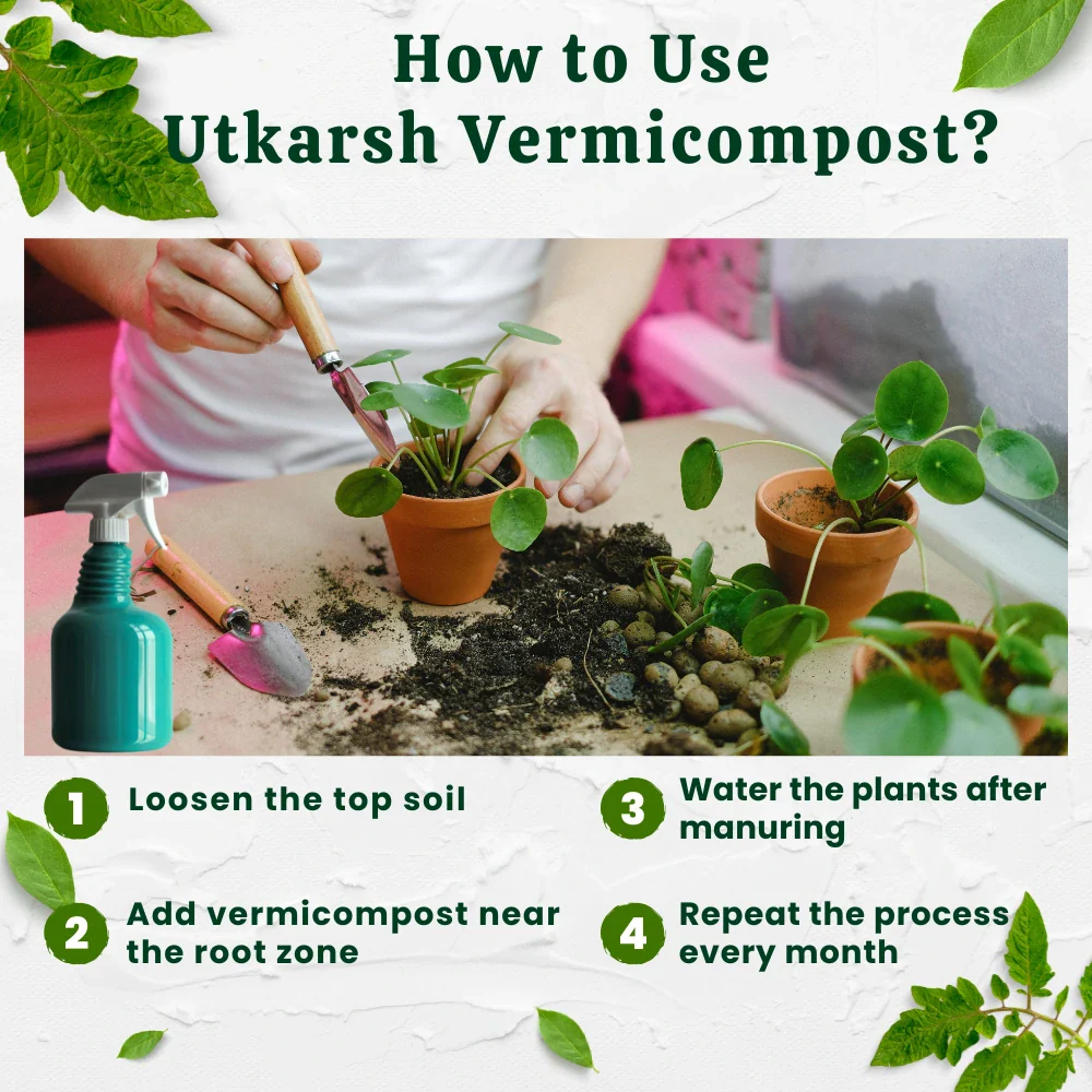 Vermicompost, 100% Natural Organic Fertilizer Manure for Plants, Nutrient Rich Compost for Home Garden, Ideal for All Gardening Use, Improves Plant Health, Water Retention & Soil Quality - Image 5