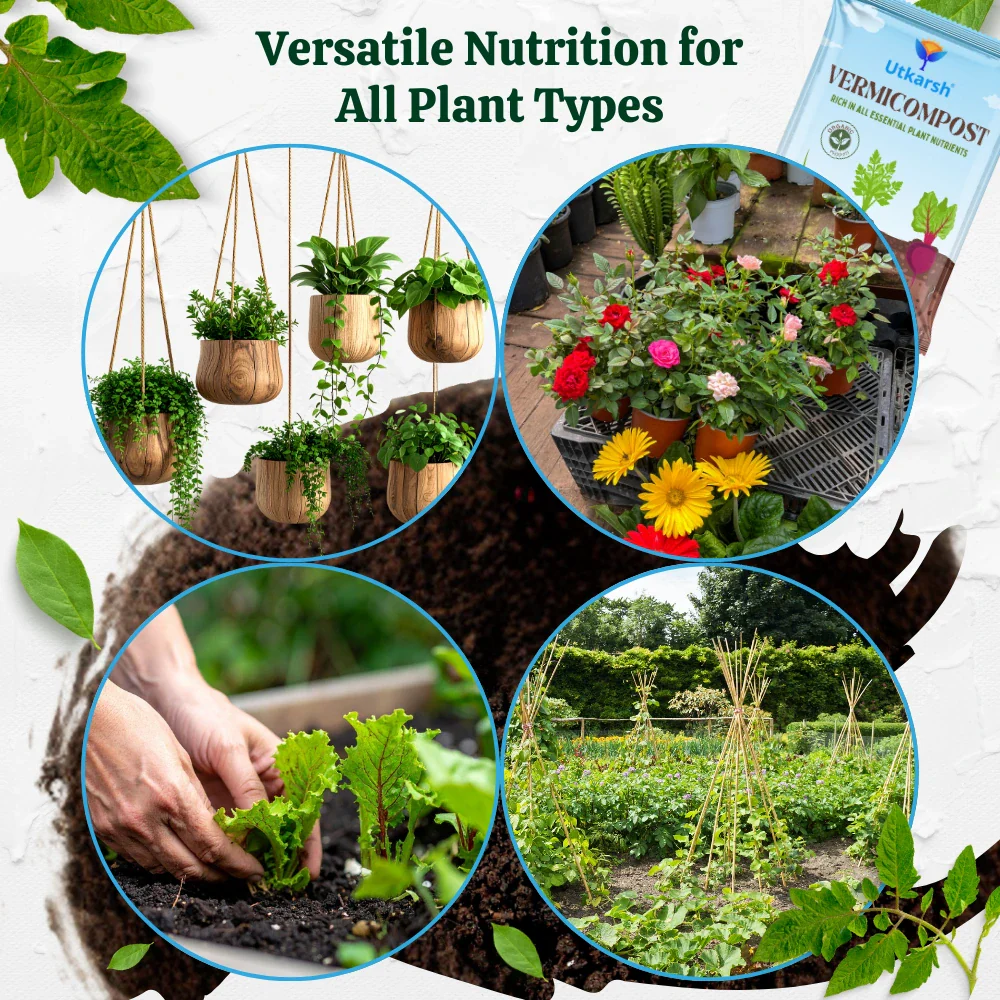 Vermicompost, 100% Natural Organic Fertilizer Manure for Plants, Nutrient Rich Compost for Home Garden, Ideal for All Gardening Use, Improves Plant Health, Water Retention & Soil Quality - Image 7