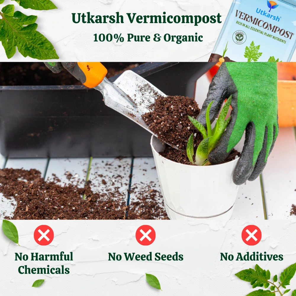 Vermicompost, 100% Natural Organic Fertilizer Manure for Plants, Nutrient Rich Compost for Home Garden, Ideal for All Gardening Use, Improves Plant Health, Water Retention & Soil Quality - Image 8